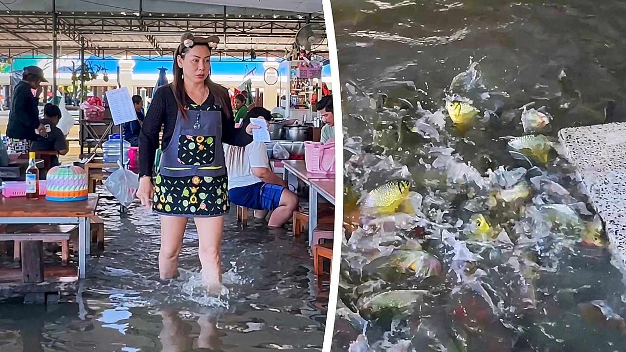 Flooded Thai restaurant serves noodles with fish swimming around diners ...