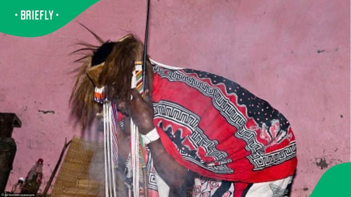 Spiritual guide explains what different snake colours in dreams could ...