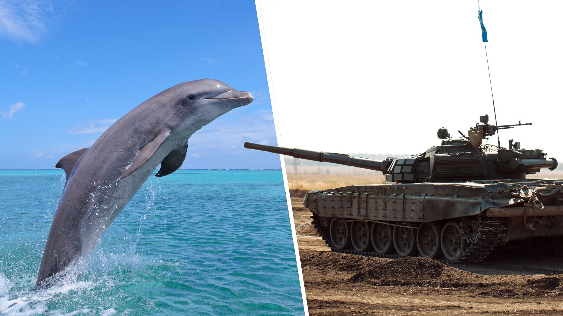 Semifinals: The brutal war to determine the best RTS unit of all time ...