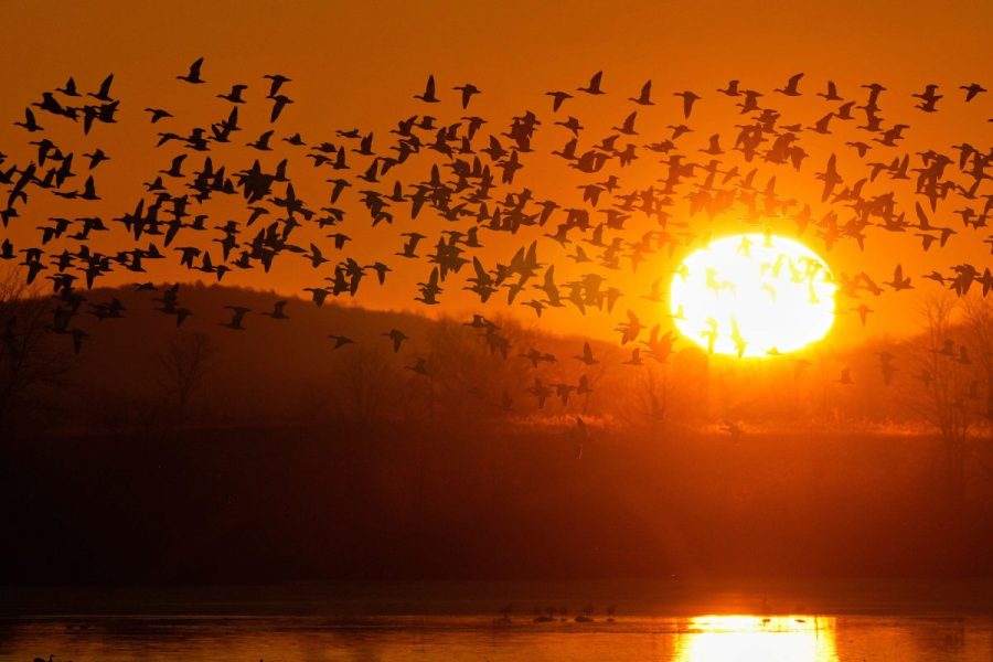 Permanent daylight saving time bill’s future uncertain after Senate ...