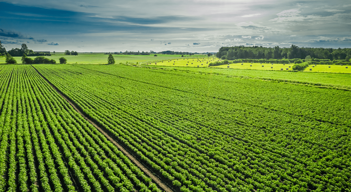 Medical Care Technologies targets agriculture market with StrainScan ...