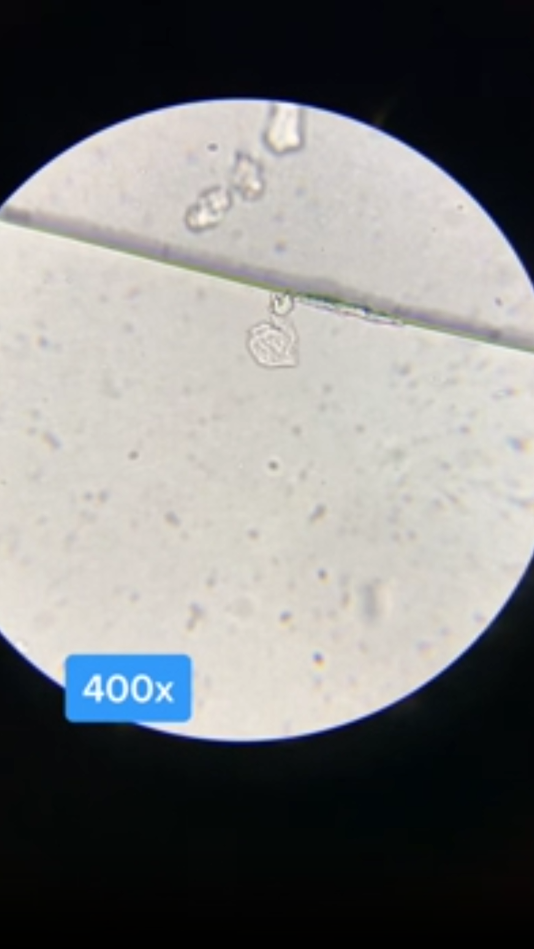 A close-up look at tiny objects and their details