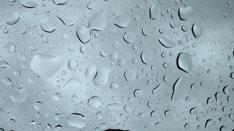Rain back in the forecast for Mid-Michigan