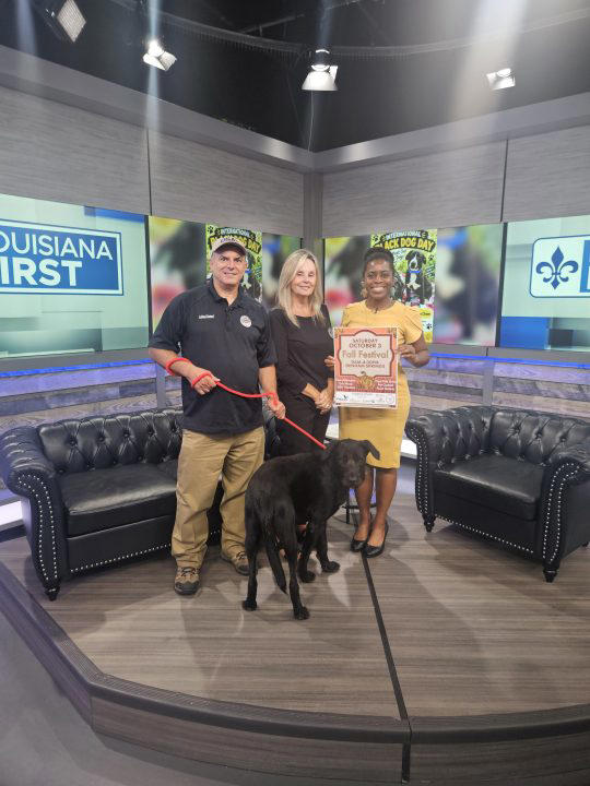 Black dog adoption event, fall festival in Denham Springs this week