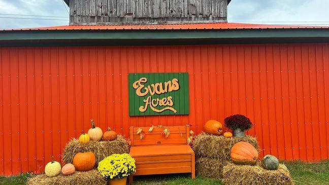 Legacy lives on: Evans family reopens iconic Gene the Pumpkin Man farm ...