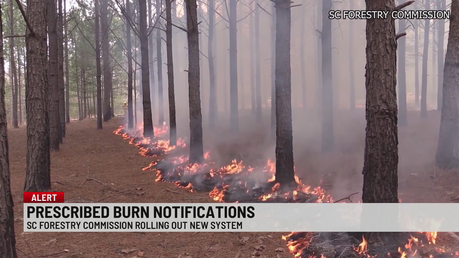 New prescribed burn notification system takes effect in South Carolina