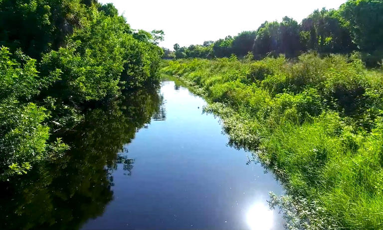 Sarasota County launches $25 million Alligator Creek restoration project