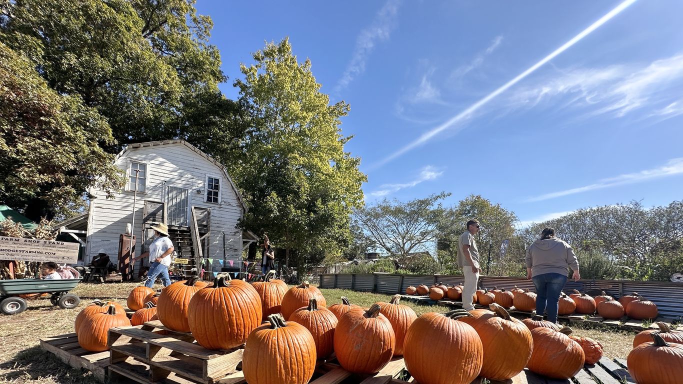11 Charlotte-area pumpkin patches to visit this fall