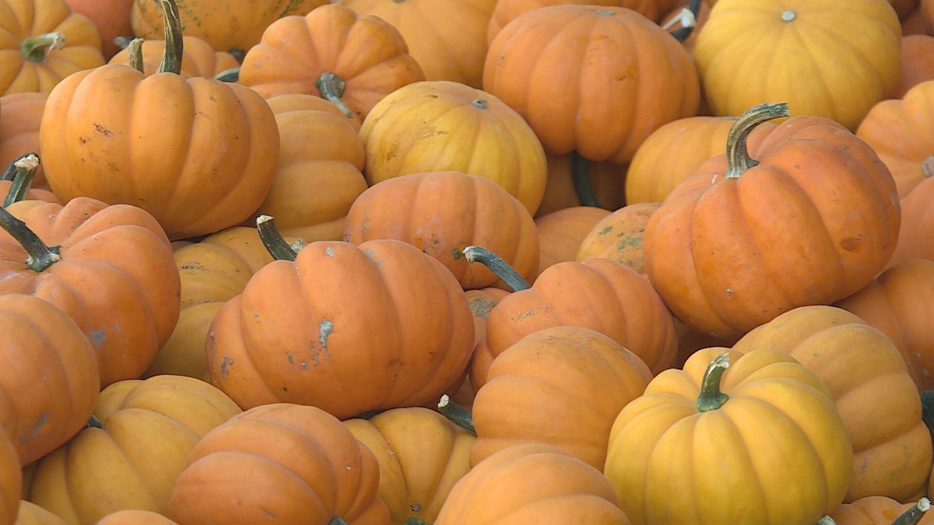 Roca Berry Farm to reopen Friday after flood delays