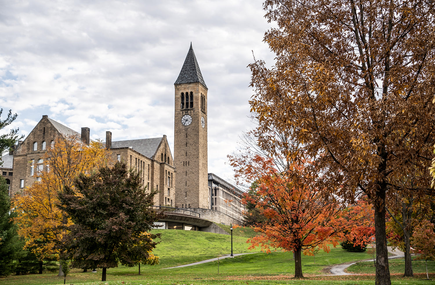 Cornell survey showed increase in reports of nonconsensual sexual ...