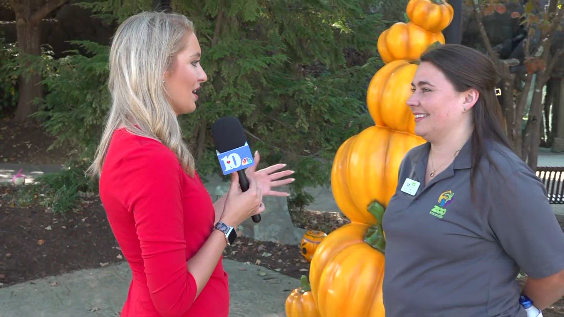 Everything you need to know about Knoxville Zoo Boo at the Zoo