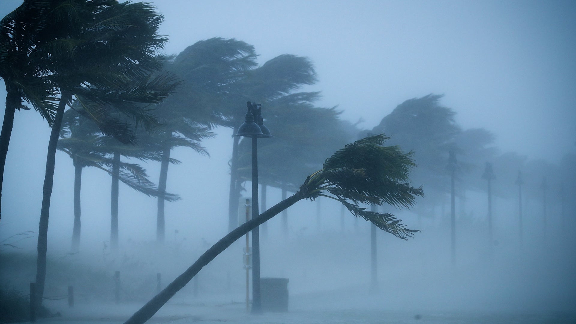Hurricane categories explained: what each wind speed means