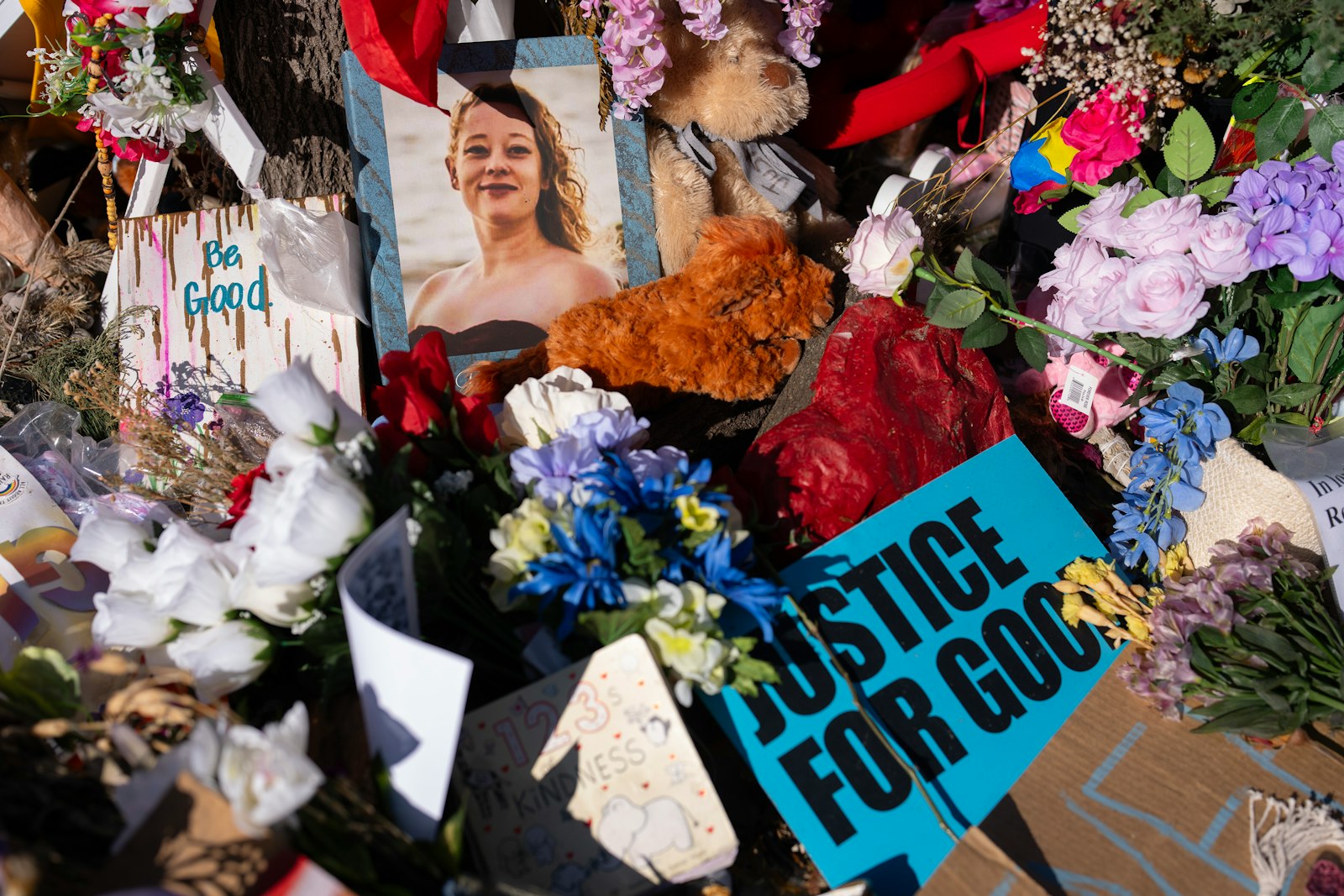 Renee Good’s family sues the US government over her death