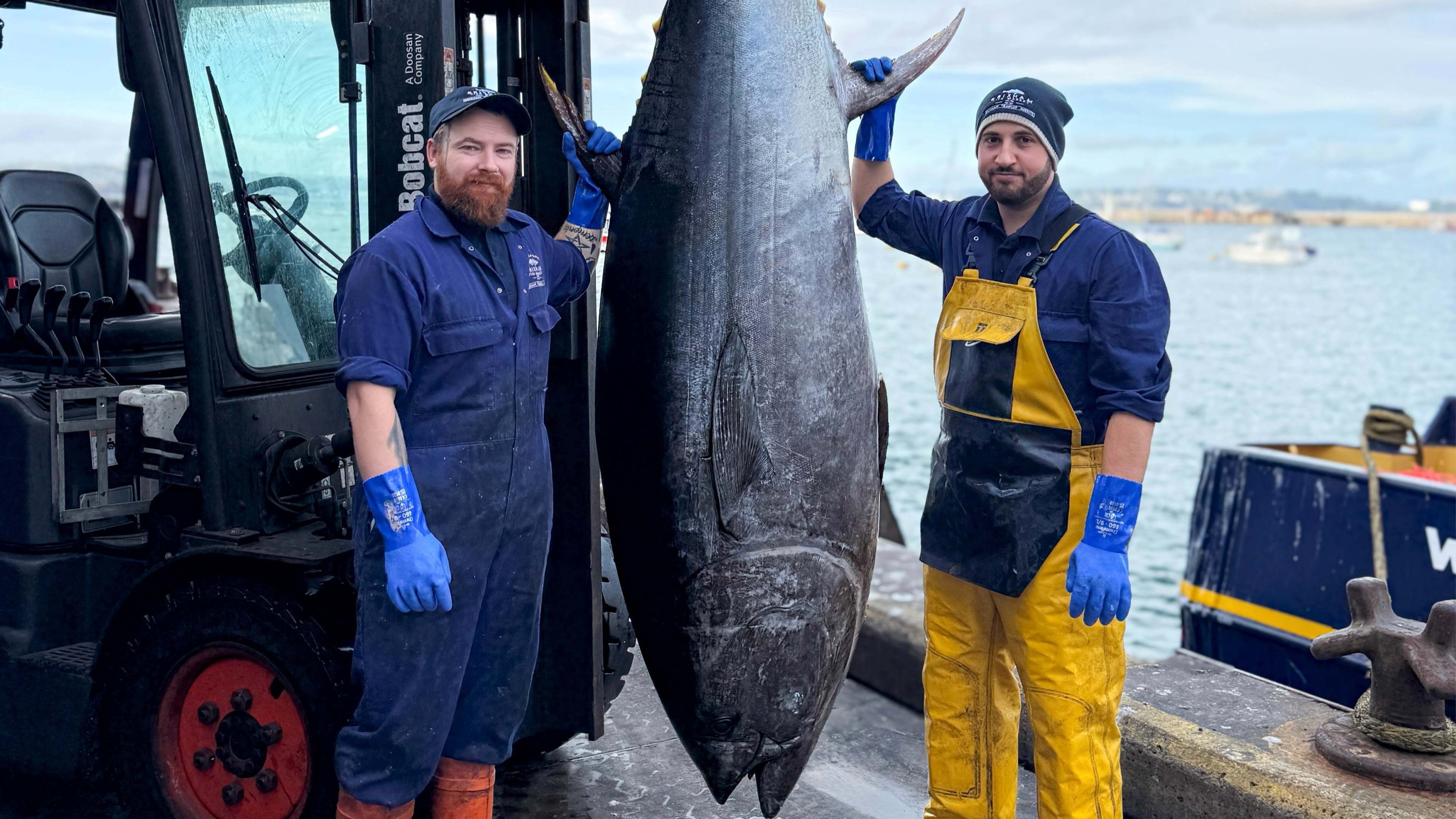 Record-breaking 282kg bluefin tuna caught in UK waters