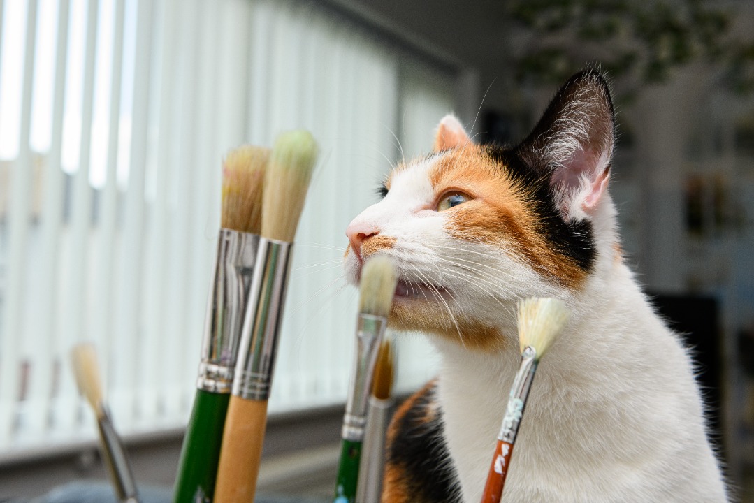 Artist’s cat creates a purr-fect masterpiece overnight
