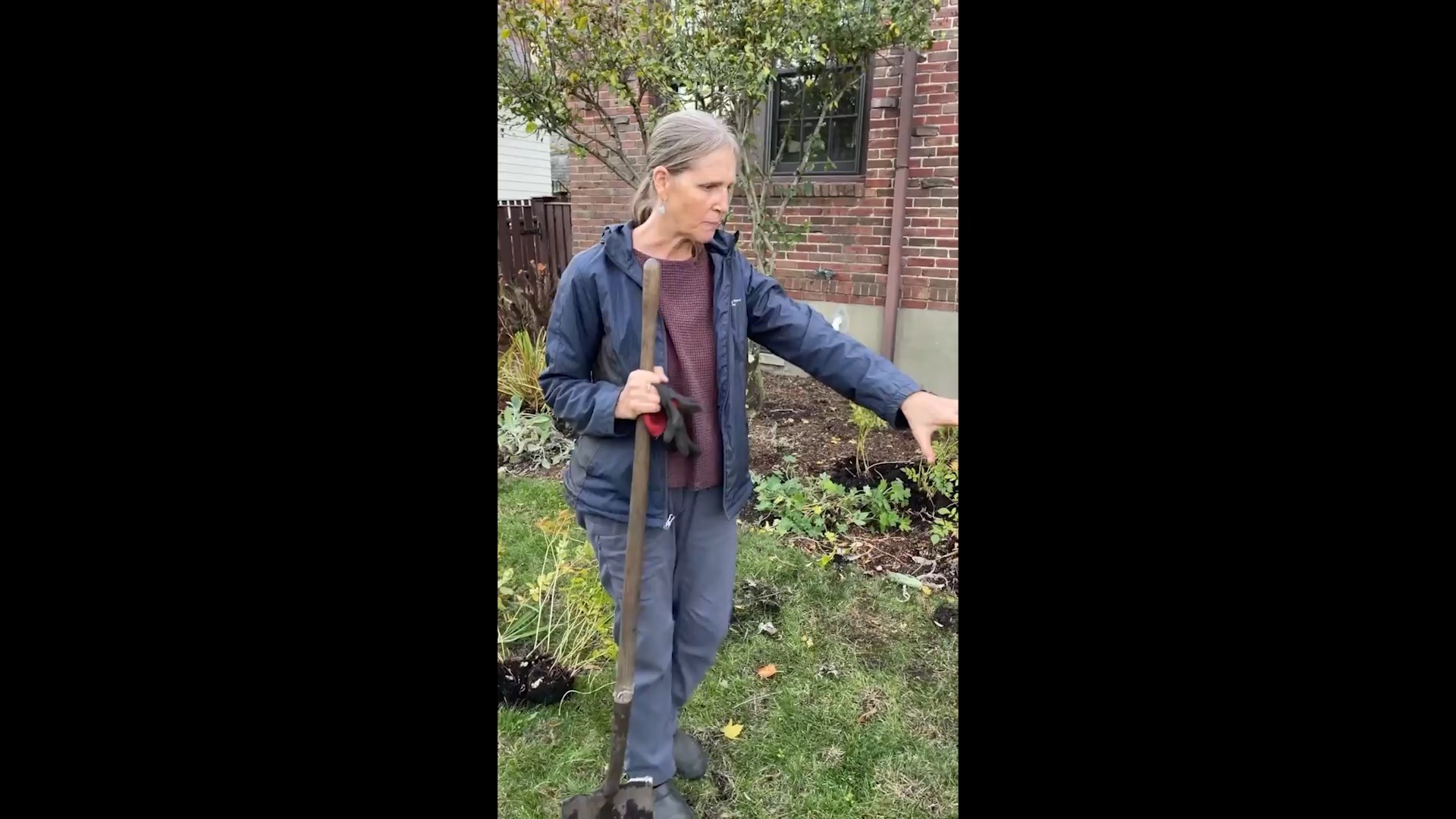 Easy garden projects that transform your outdoor space