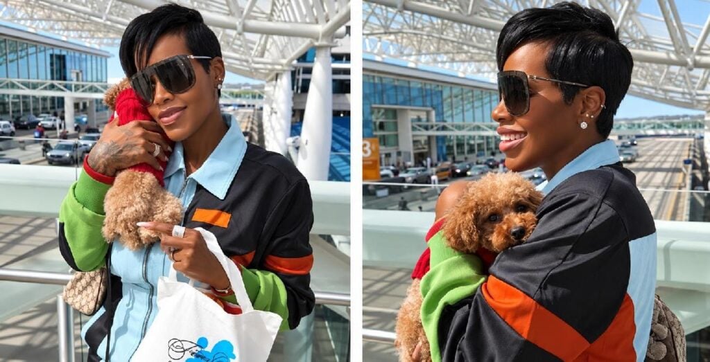 Fantasia’s new look steals attention from her new poodle