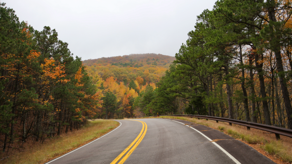 https://img-s-msn-com.akamaized.net/tenant/amp/entityid/AA2dmryS.img?w=768&h=432&m=4&q=100