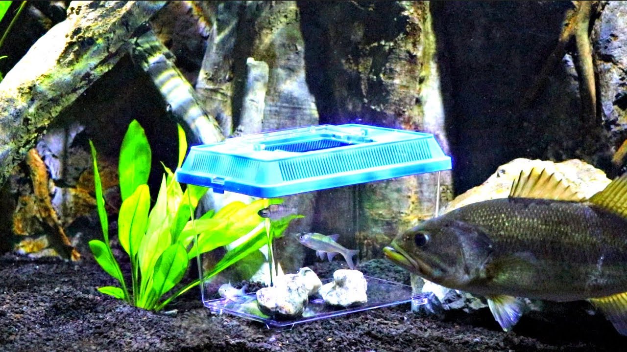 I couldn't believe how Moby reacted