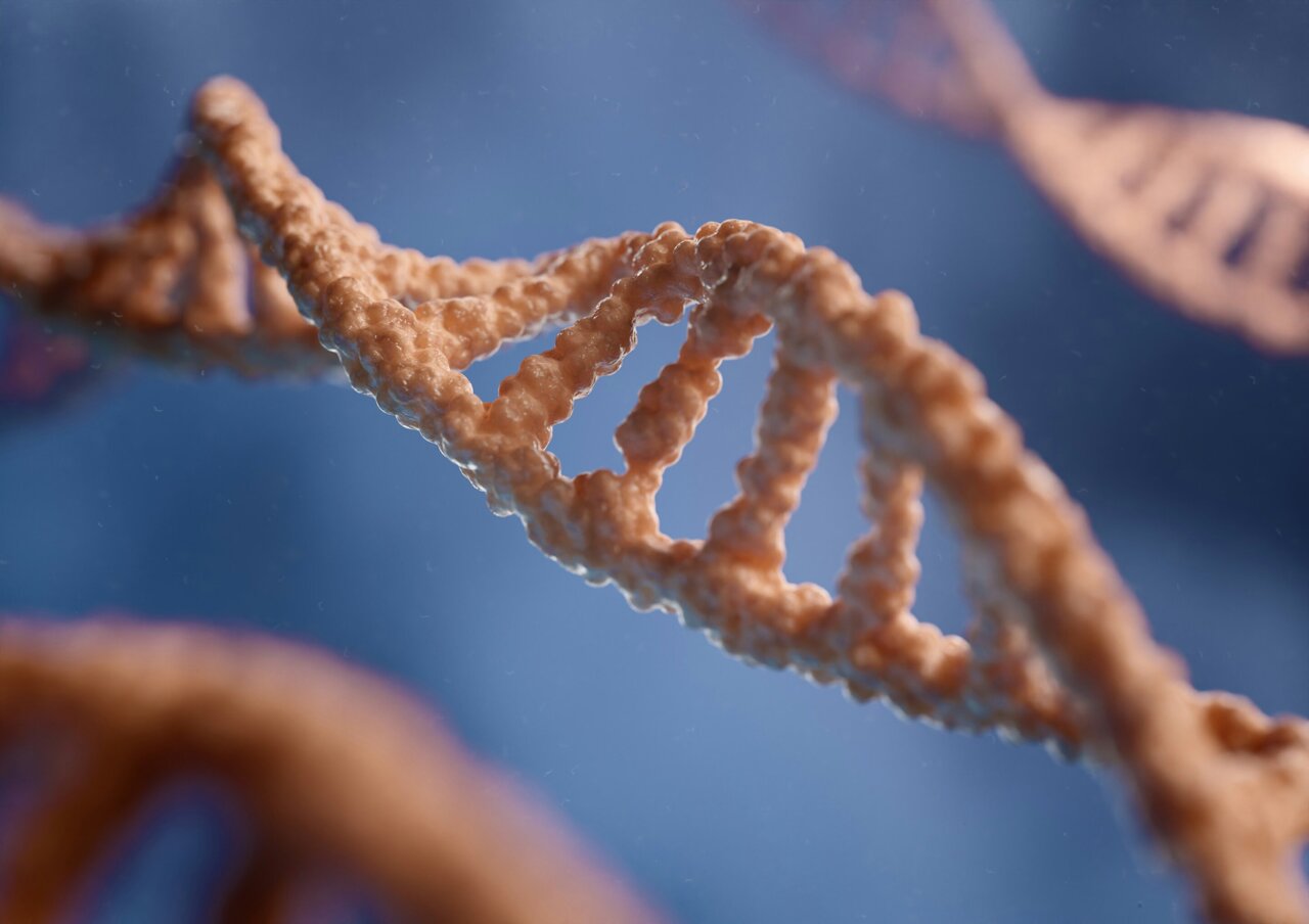 Discovery explains how immune cells target DNA mutations to improve ...