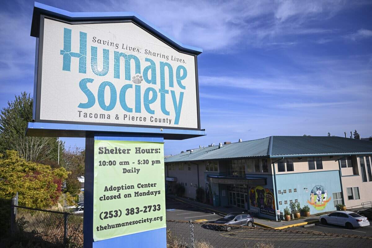 War on the dog walkers: Inside Tacoma Humane's volunteer fallout