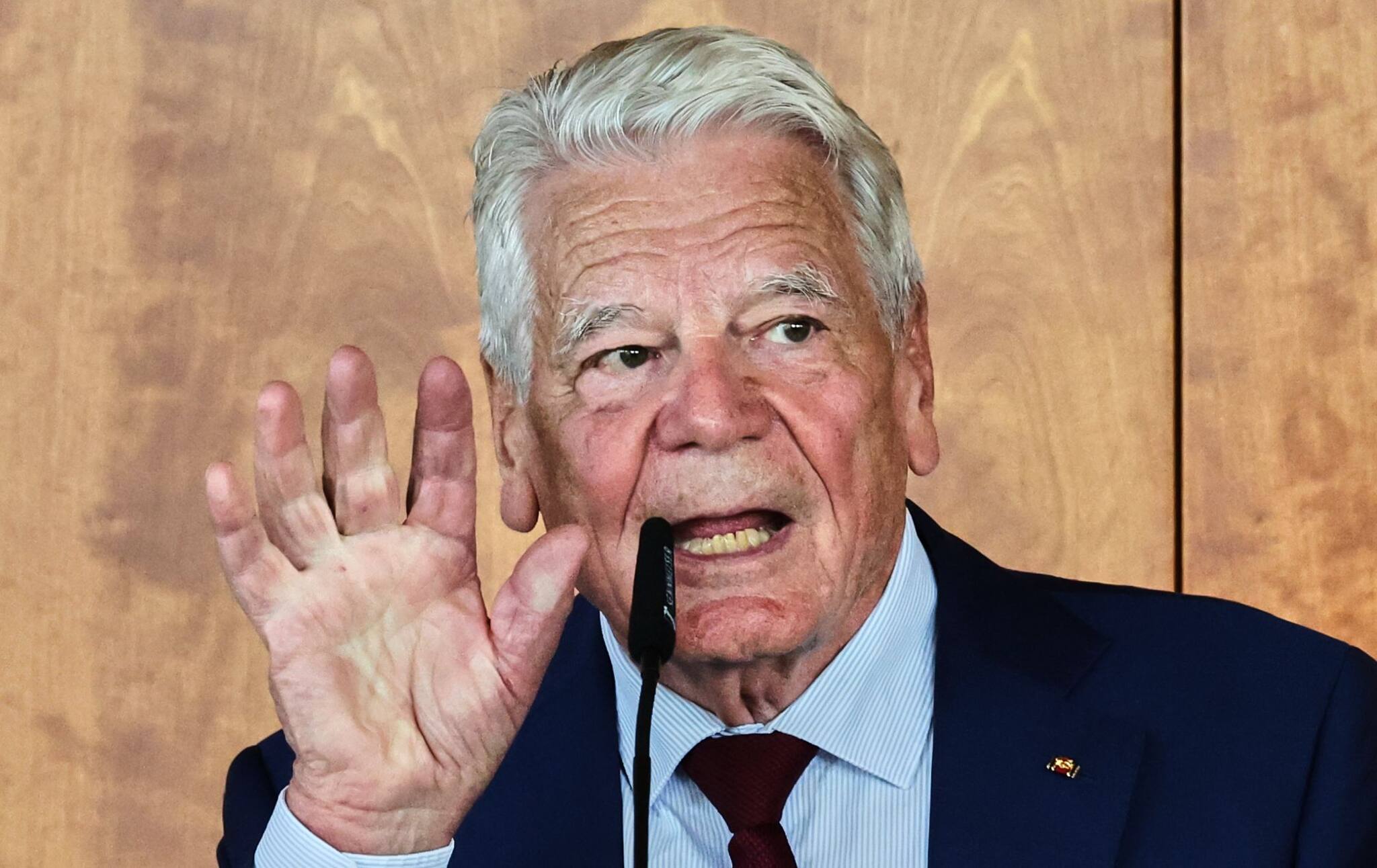 Gauck: Wenn Merz zurücktritt, 
