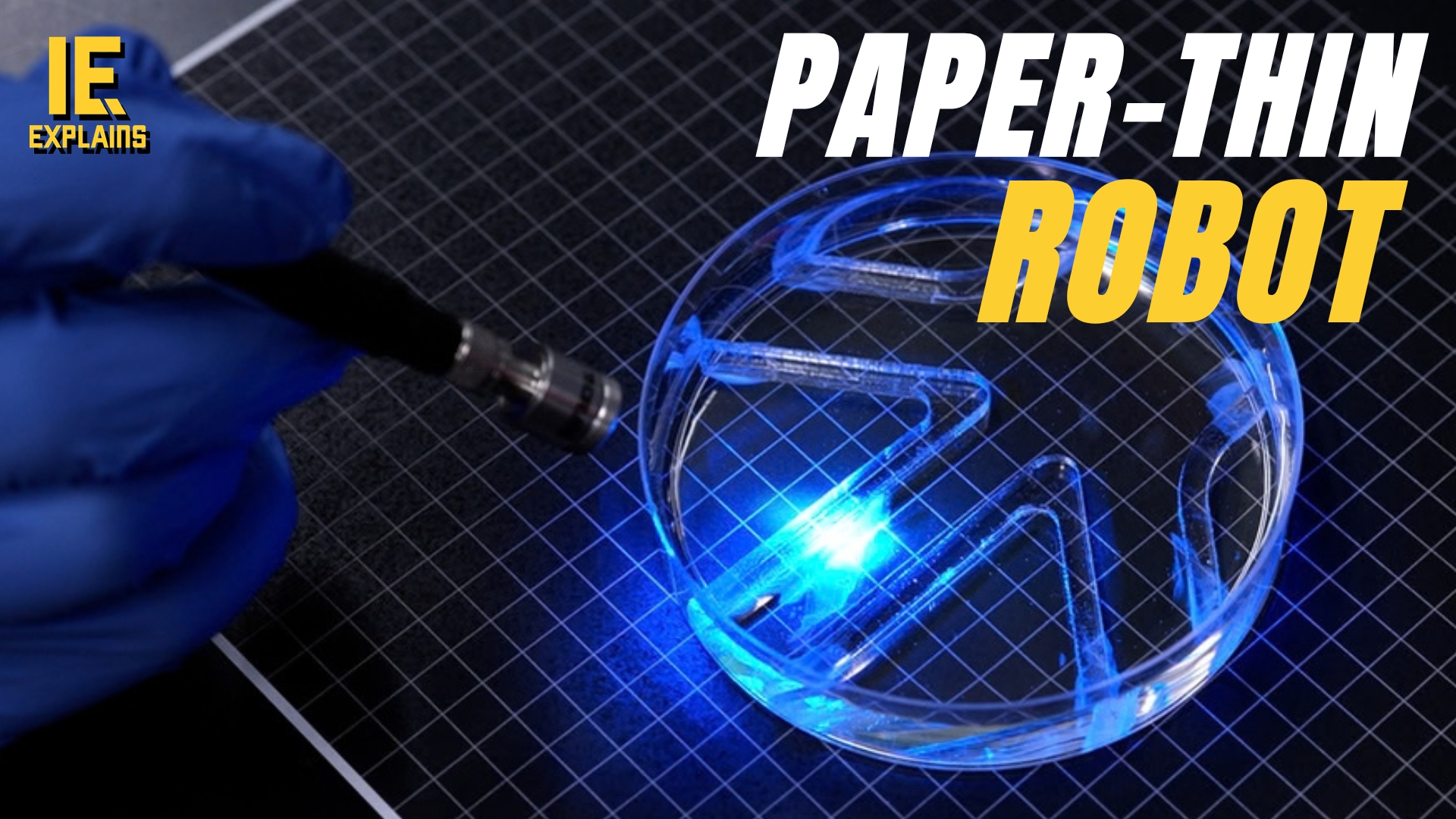 MIT engineers engineer paper-thin robot powered by muscle cells