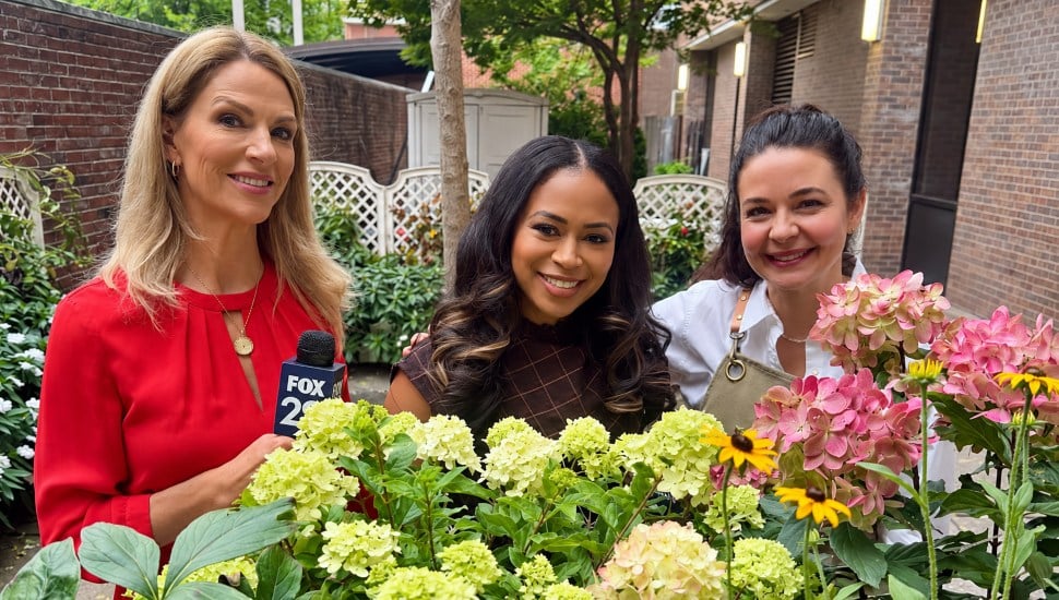 Sun and shade perennial picks from Garden Girl Company’s Jackie Chapman