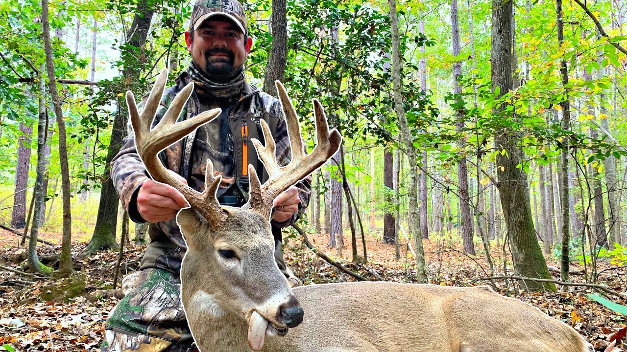 I found a 14-point Bama buck 😲