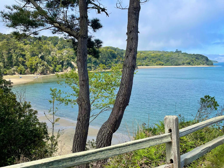 The perfect Northern California road trip: Point Reyes to the Sonoma Coast