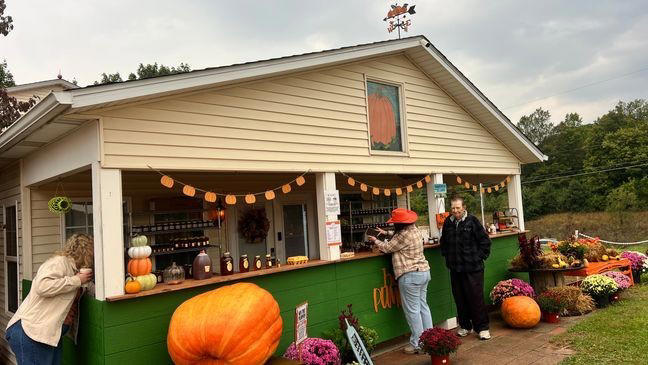 Legacy lives on: Evans family reopens iconic Gene the Pumpkin Man farm ...