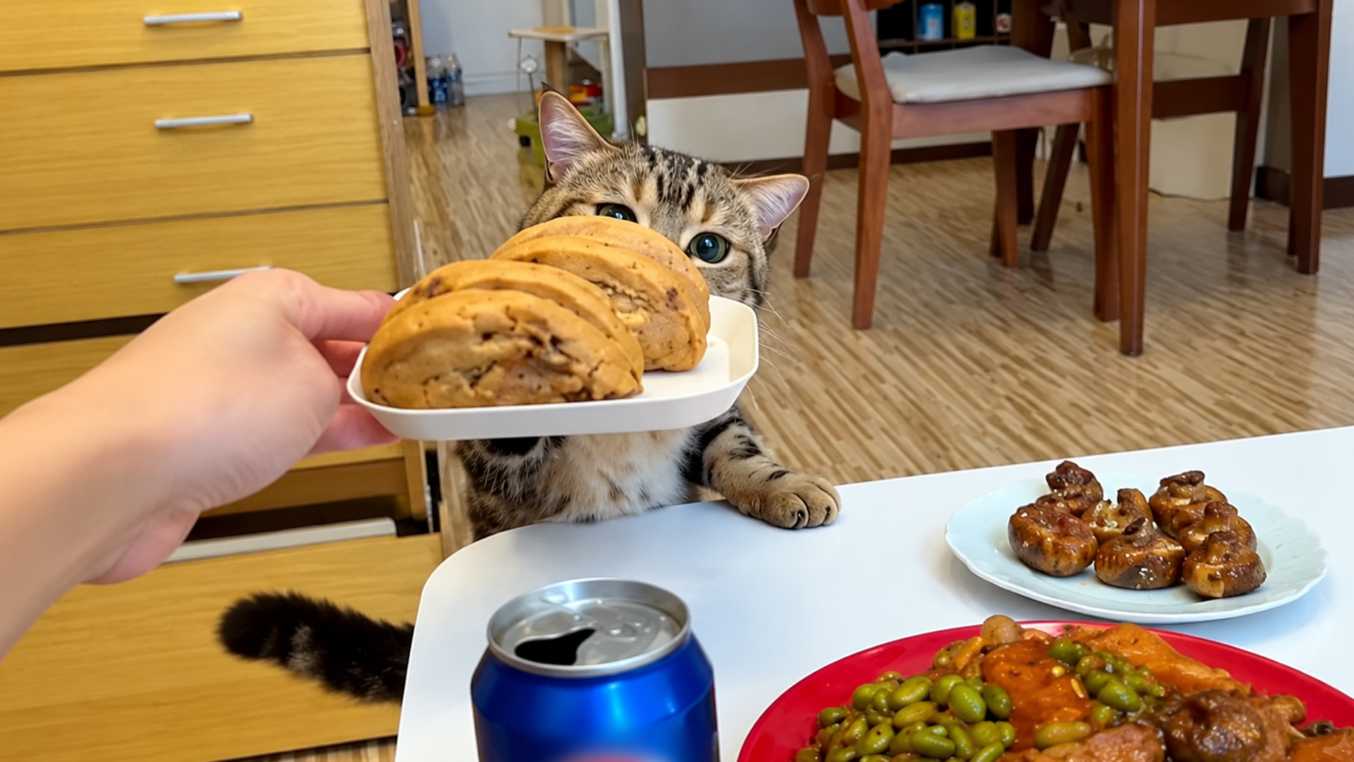 Cats stealing everything they can