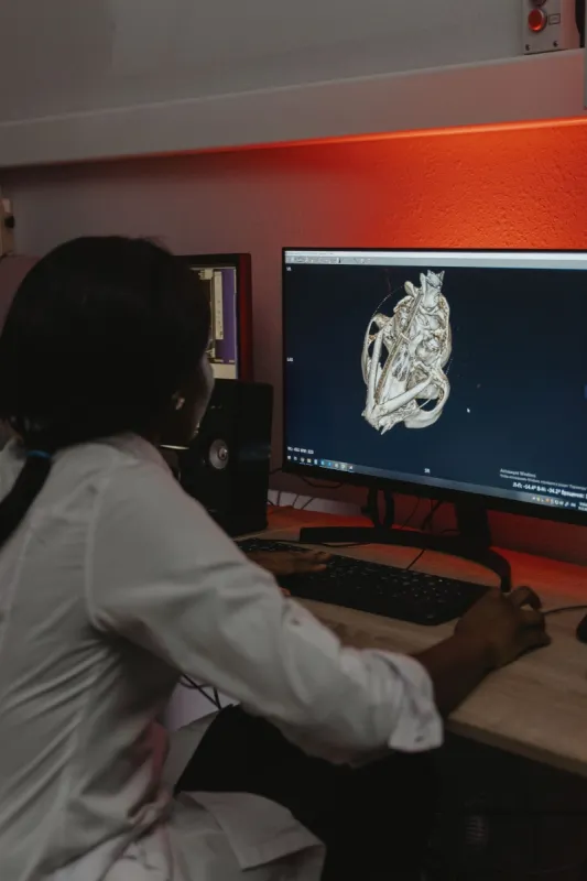 Chronic diseases to fuel $6.3b medical imaging software boom