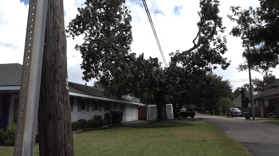 Entergy, Jefferson Parish council trying to strike a balance on tree ...