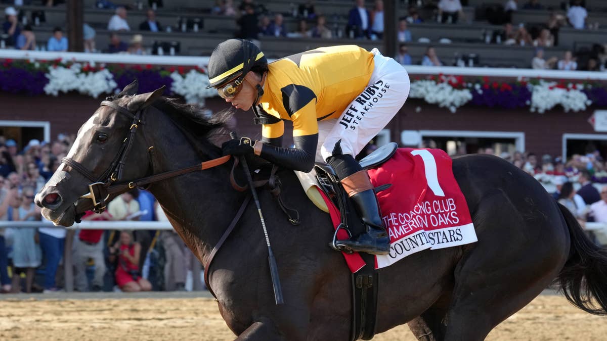 Spinster contender Counting Stars leads strong Mark Casse contingent at ...