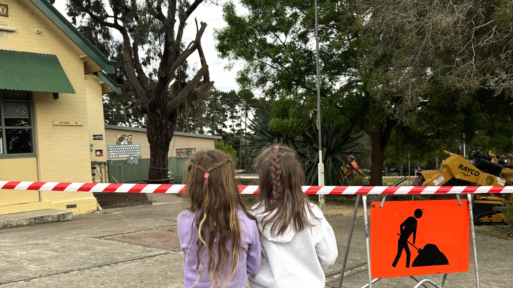Central Victorian school communities outraged as trees cut down ahead of bushfire season