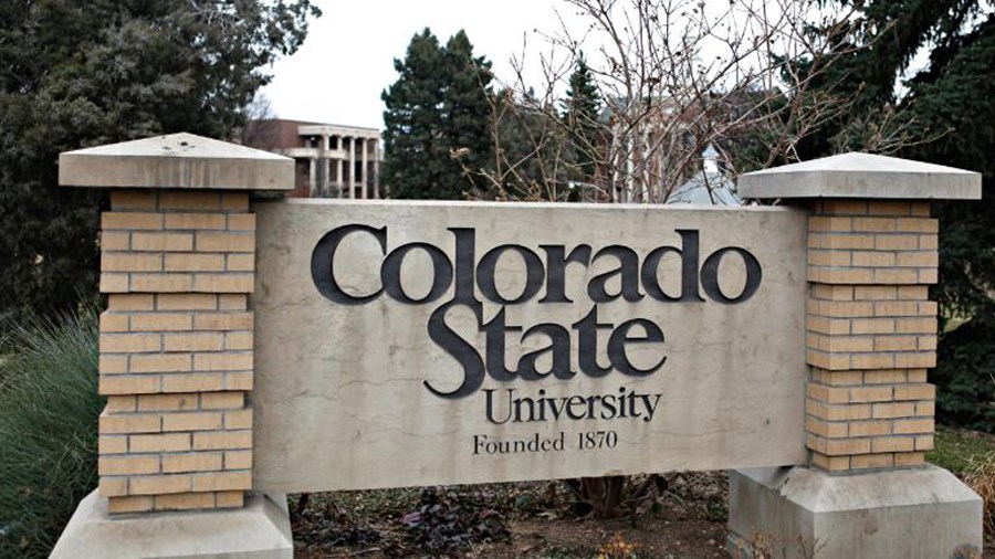 Colorado State University releases guidelines for livestock water ...