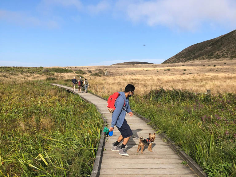 The perfect Northern California road trip: Point Reyes to the Sonoma Coast