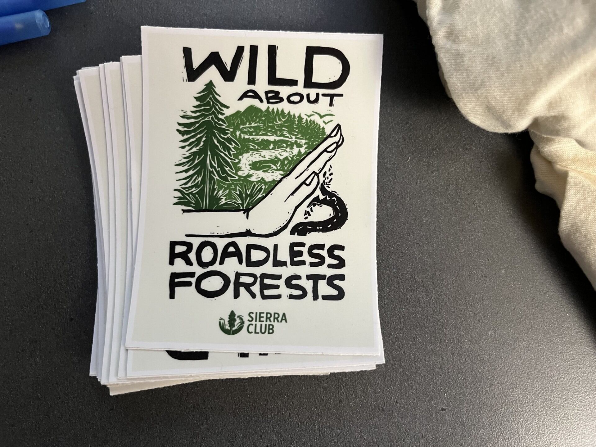 Sierra Club Michigan Chapter holds presentation about the Roadless Rule
