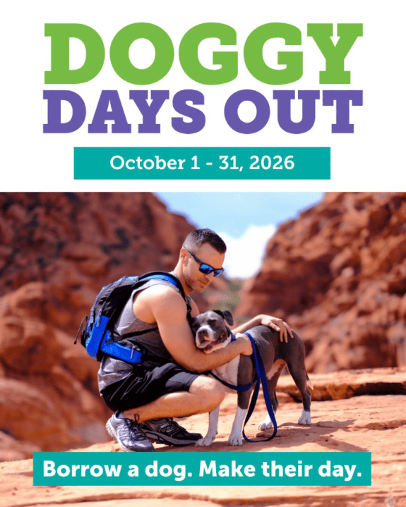 The Animal Foundation launches 'Doggy Days Out' initiative