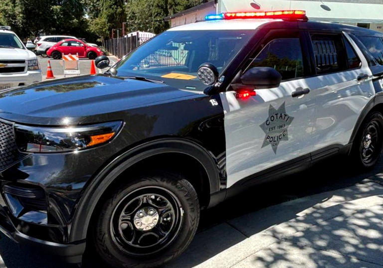 Sonoma County mother and son arrested in double DUI