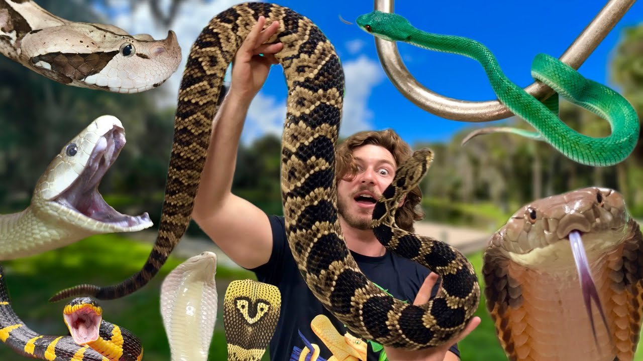 Full animal tour of Wildlife Encounters