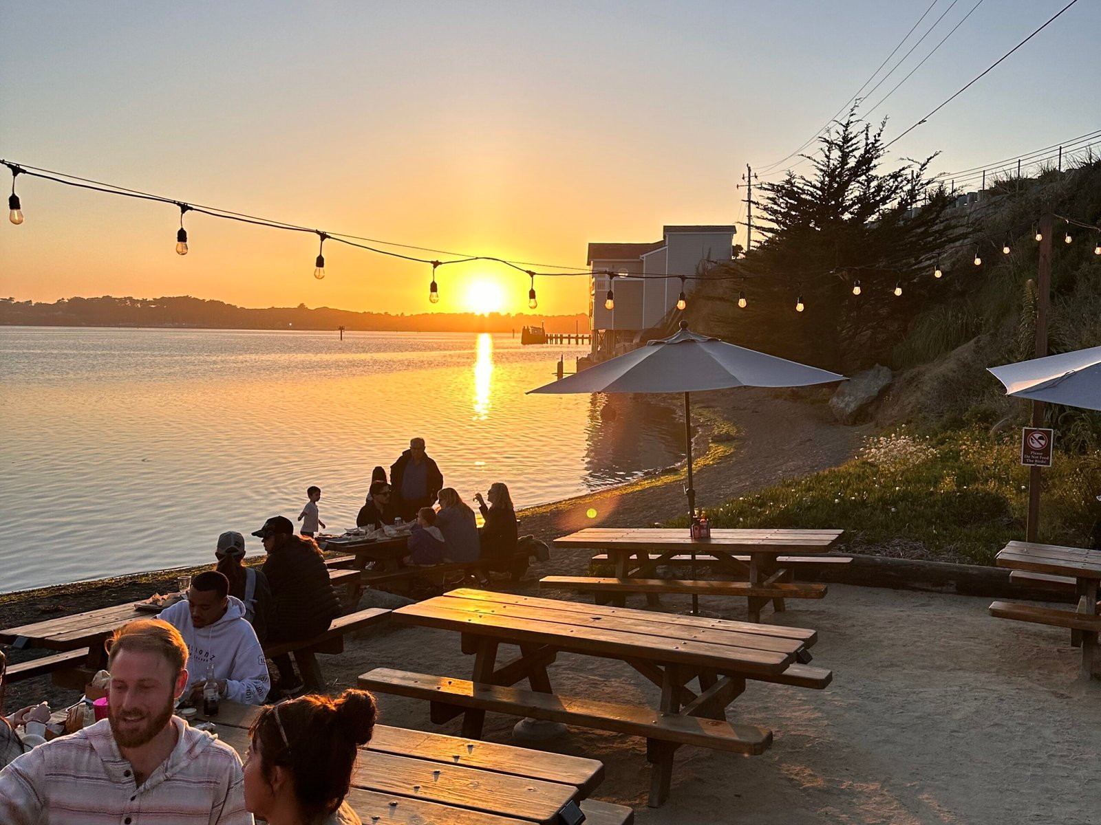 The perfect Northern California road trip: Point Reyes to the Sonoma Coast