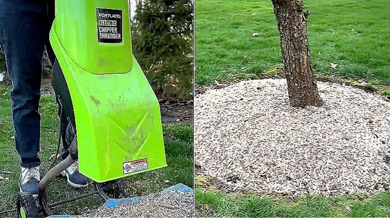 Turn yard scraps into DIY mulch and compost with a solution from Harbor ...