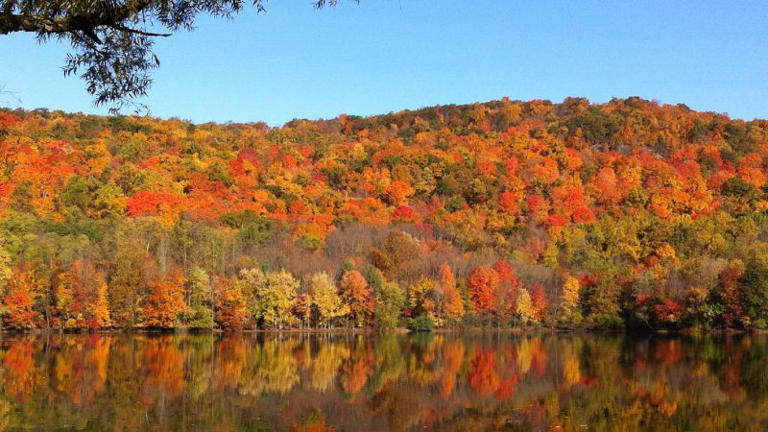 The science behind Wisconsin’s changing fall colors