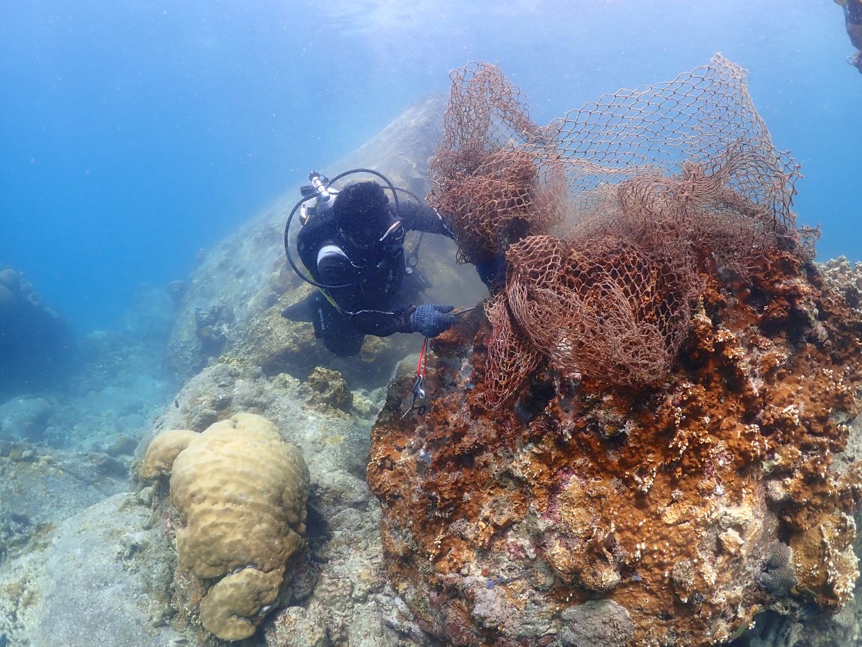 Heat and microplastics land a double blow