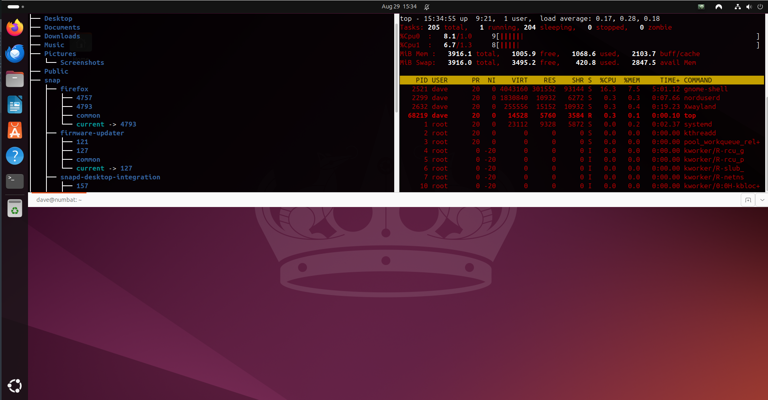 Why is it called a terminal emulator?