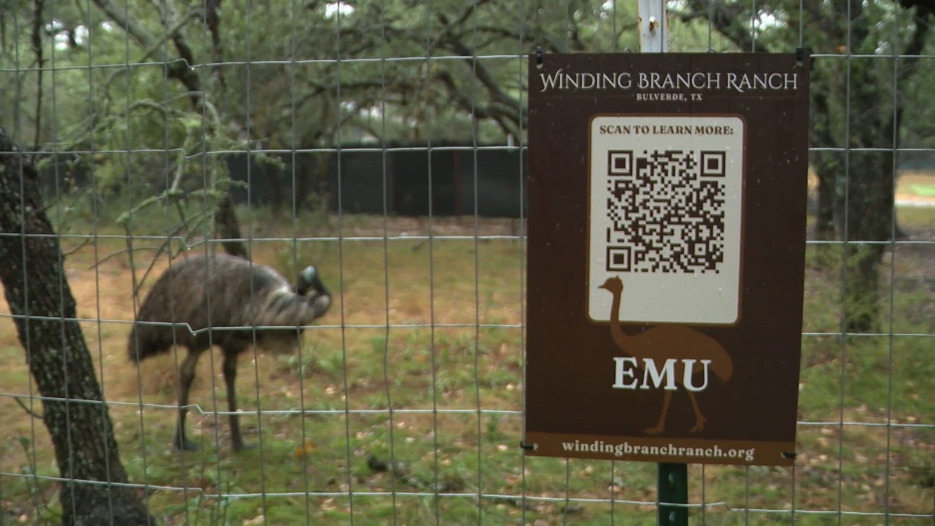 Bulverde animal sanctuary planning infrastructure changes after July ...