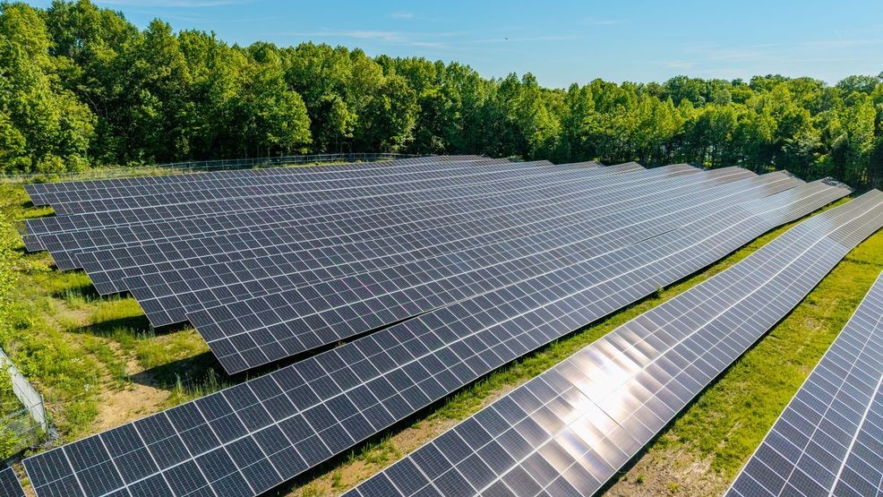 New DENSO solar field offsets nearly 14% of Athens plant power use