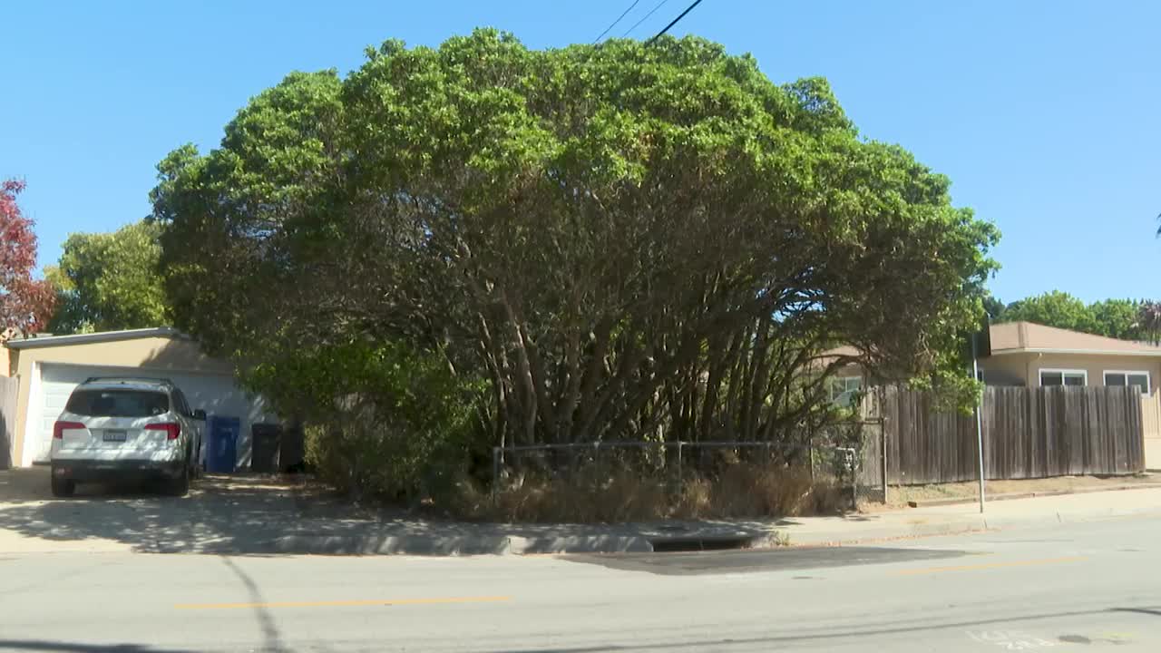 San Luis Obispo races to complete emergency drain repairs ahead of ...